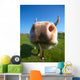 Amusing Close-up Cow's Mug Wall Decal