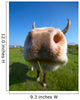 Amusing Close-up Cow's Mug Wall Decal
