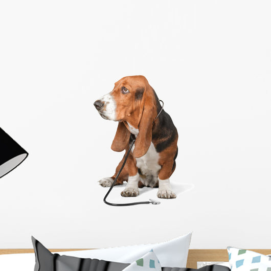 Basset Hound Dog Doctor Wall Decal