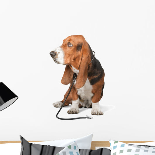Basset Hound Dog Doctor Wall Decal