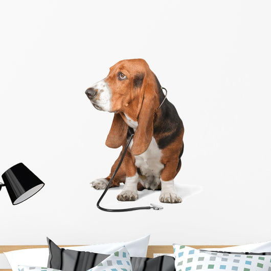 Basset Hound Dog Doctor Wall Decal
