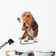Basset Hound Dog Doctor Wall Decal