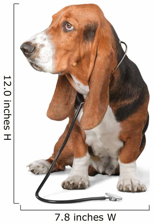 Basset Hound Dog Doctor Wall Decal