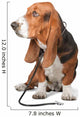 Basset Hound Dog Doctor Wall Decal