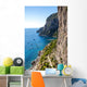 Capri Island Italy Wall Decal