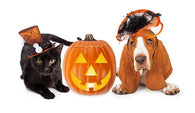 Halloween Cat and Dog Wall Decal