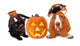 Halloween Cat and Dog Wall Decal