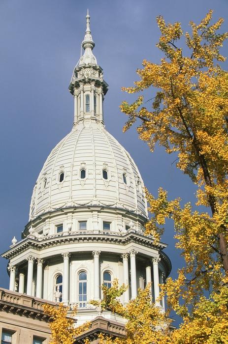 State Capitol Michigan Lansing Wall Decal