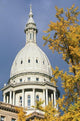 State Capitol Michigan Lansing Wall Decal