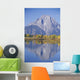 Grand Teton National Park Wall Decal