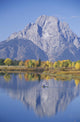 Grand Teton National Park Wall Decal