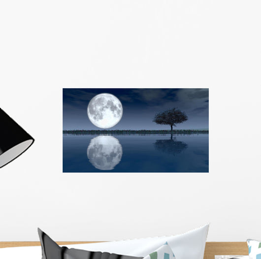 Moon Wall Decal