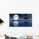 Moon Wall Decal