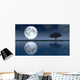 Moon Wall Decal