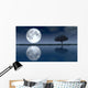 Moon Wall Decal