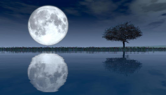 Moon Wall Decal