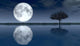 Moon Wall Decal