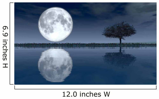 Moon Wall Decal