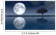 Moon Wall Decal