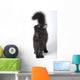 Norwegian Forest Cat Looks Wall Decal