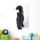 Norwegian Forest Cat Looks Wall Decal