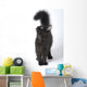 Norwegian Forest Cat Looks Wall Decal