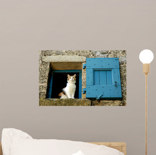 Cat Window Wall Decal