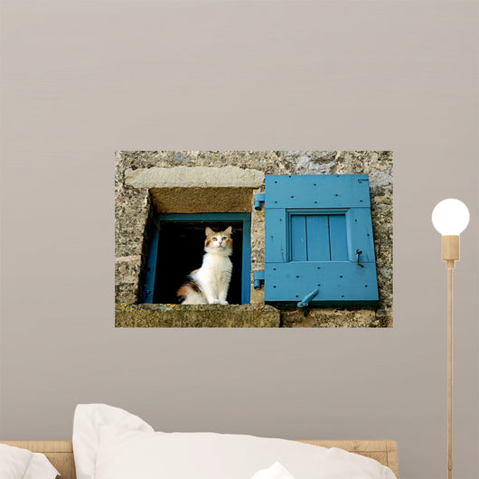 Cat Window Wall Decal