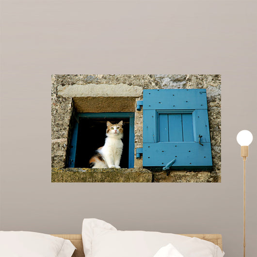Cat Window Wall Decal