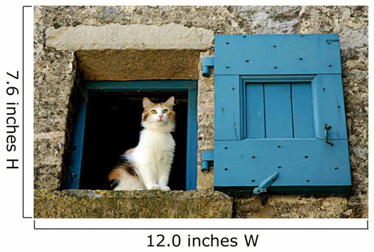 Cat Window Wall Decal