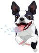 Terrier Boston Wall Decal