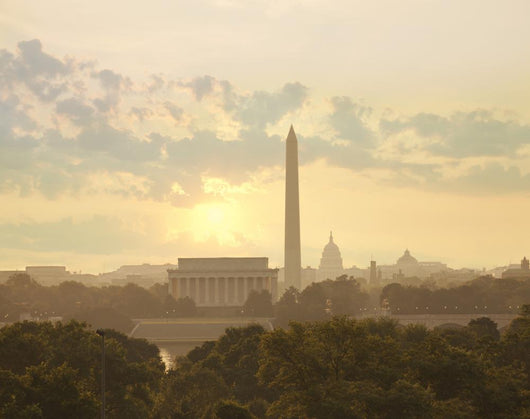 Washington Dc Skyline Wall Decal