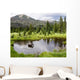 Moose Rocky Mountain National Wall Decal