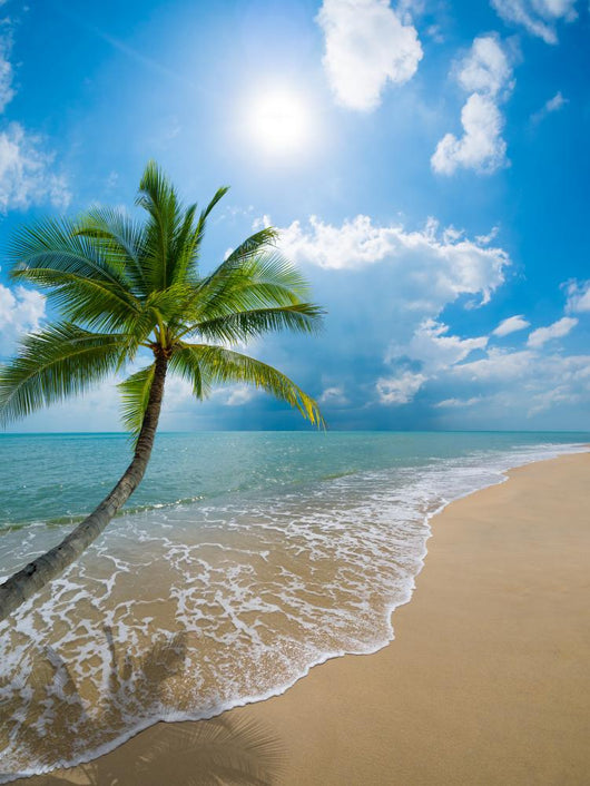 Beautiful Tropical Beach Wall Decal