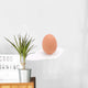 Single Brown Chicken Egg Wall Decal