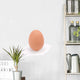 Single Brown Chicken Egg Wall Decal