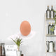 Single Brown Chicken Egg Wall Decal