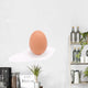 Single Brown Chicken Egg Wall Decal