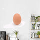 Single Brown Chicken Egg Wall Decal
