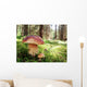 Prachtiger Steinpilz im Fichtenwald Wall Decal