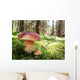 Prachtiger Steinpilz im Fichtenwald Wall Decal
