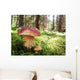 Prachtiger Steinpilz im Fichtenwald Wall Decal