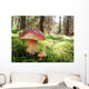 Prachtiger Steinpilz im Fichtenwald Wall Decal