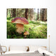 Prachtiger Steinpilz im Fichtenwald Wall Decal