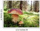 Prachtiger Steinpilz im Fichtenwald Wall Decal