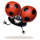 Coccinella Wall Decal