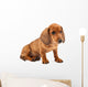 Red Dachshund Puppy Wall Decal