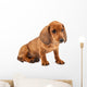 Red Dachshund Puppy Wall Decal