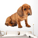 Red Dachshund Puppy Wall Decal