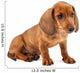 Red Dachshund Puppy Wall Decal